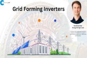Grid Forming Inverters